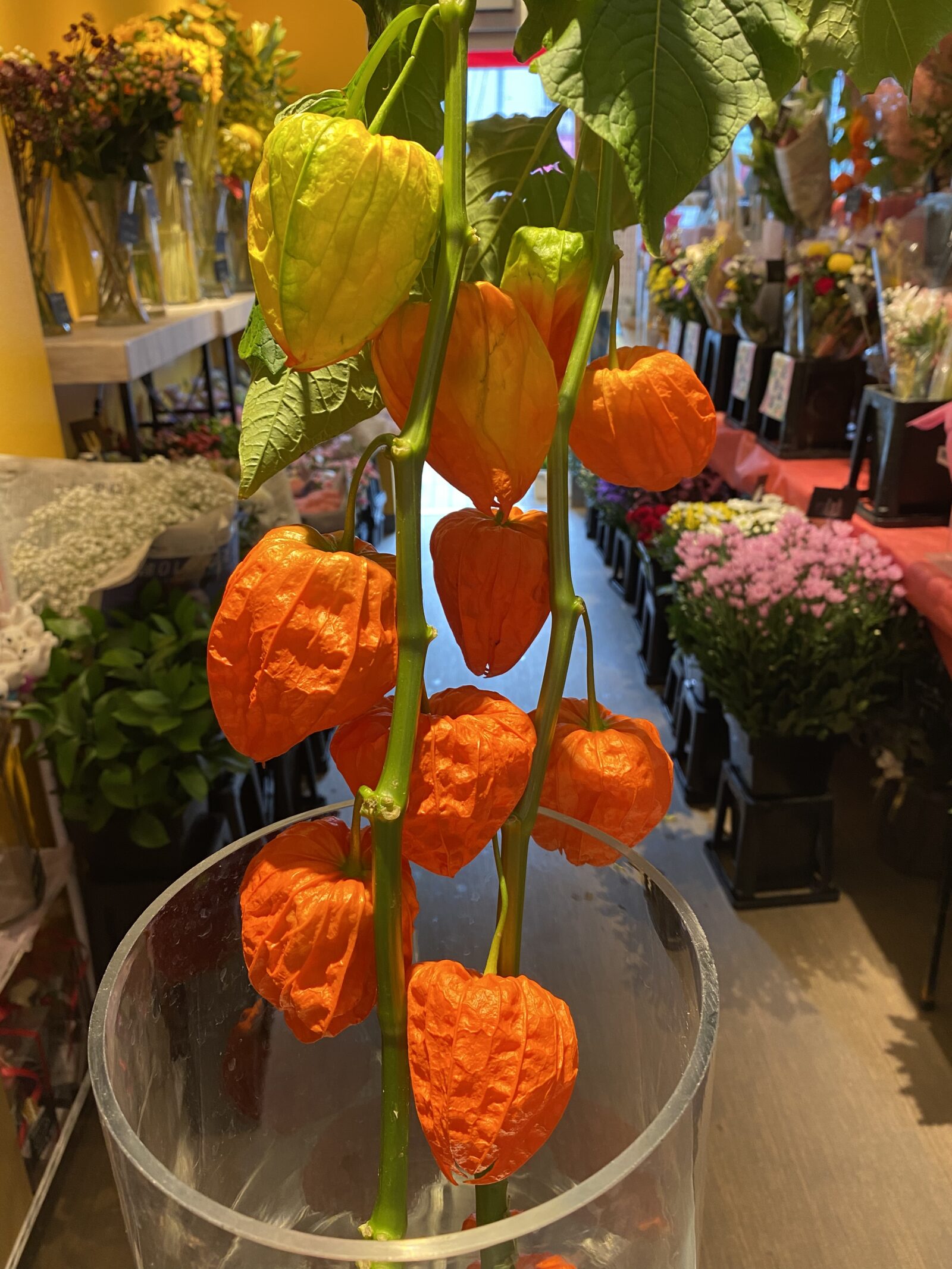 お盆飾り 新鮮花屋公式 花屋 花 花束 フラワーギフト 通販 花吉 花よし