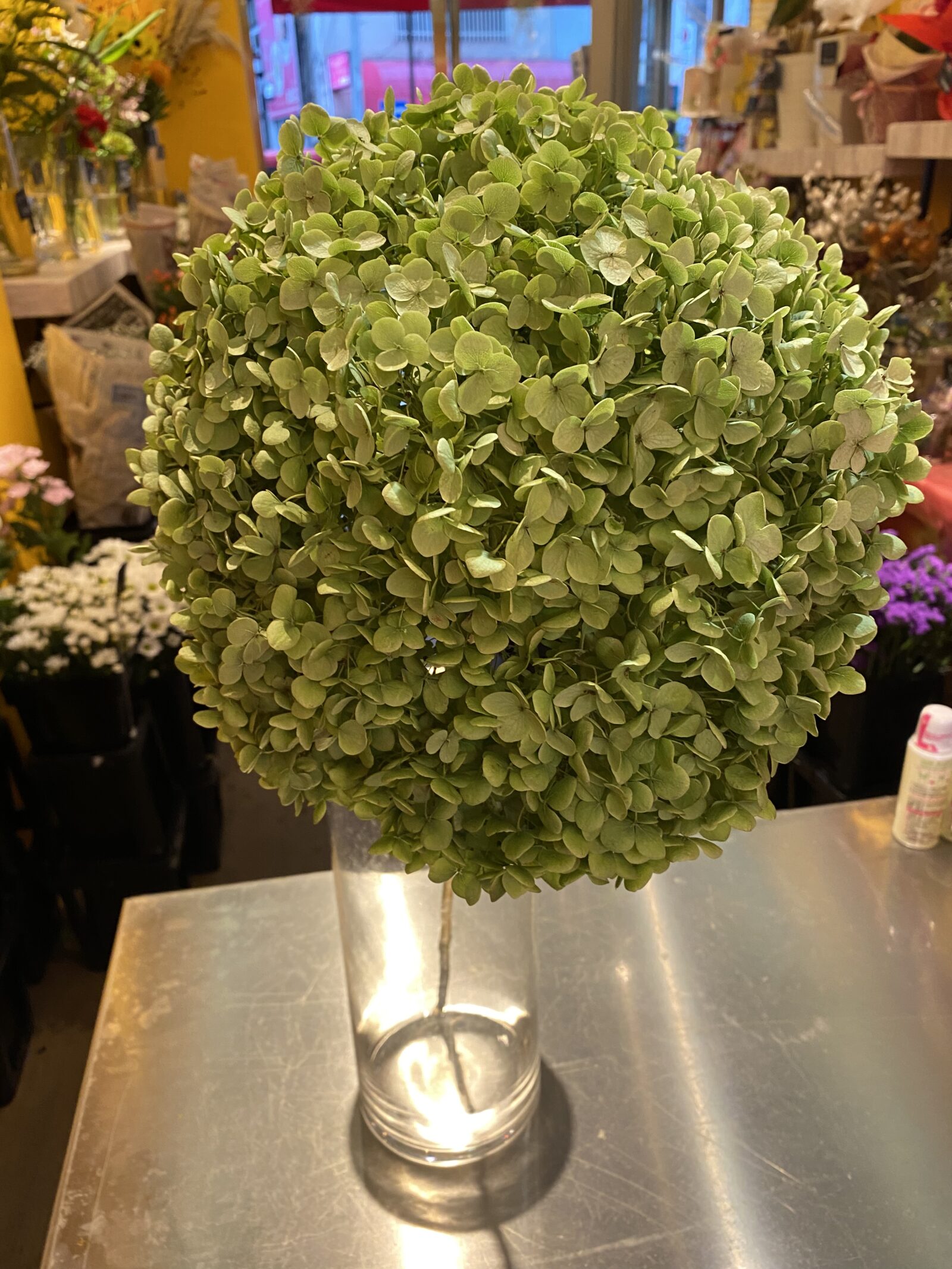 新鮮入荷 切り花 新鮮花屋公式 花屋 花 花束 フラワーギフト 通販 花吉 花よし 新鮮入荷 切り花 新鮮花屋公式 花屋 花 花束 フラワーギフト 通販 花吉 花よし